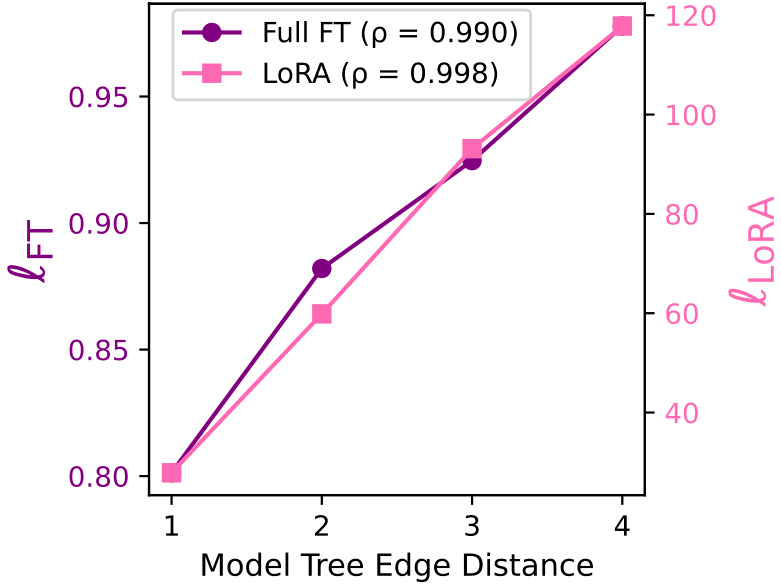 Weight distance correlation